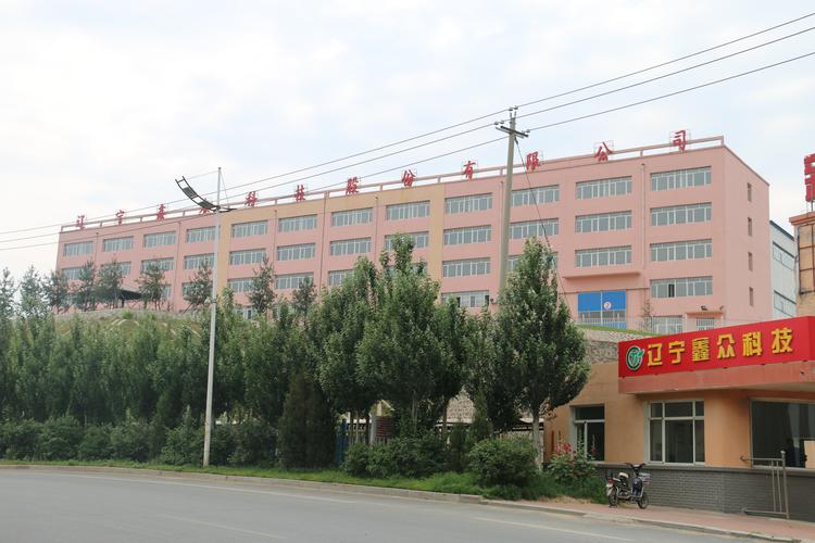 遼寧鑫眾科技股份 創新驅動，引領鑫眾企業高質量發展